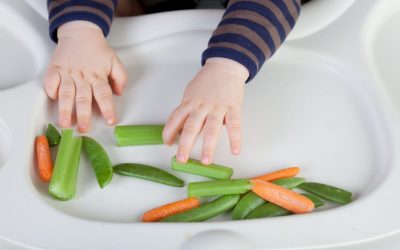 Primeiros alimentos da dieta do bebé