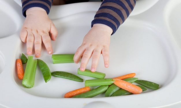 Primeiros alimentos da dieta do bebé