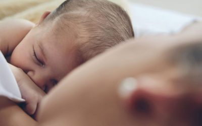 Recolha das células estaminais