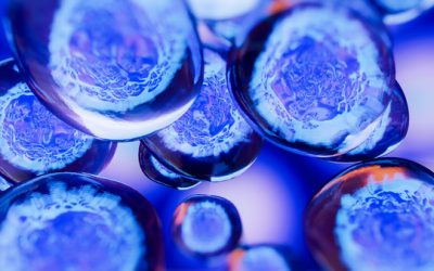 Criança com anemia grave está a ser tratada com transplante de sangue do cordão umbilical