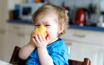 Genes podem não determinar a obesidade infantil
