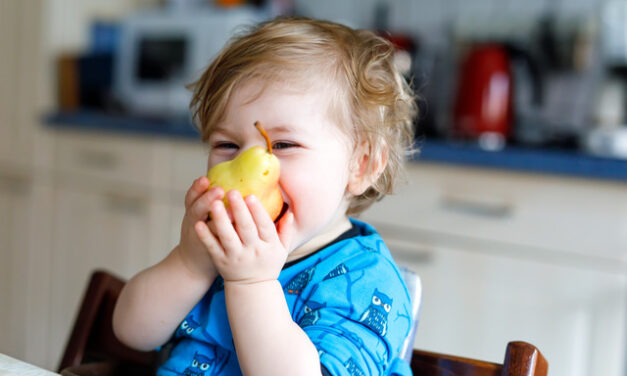 Genes podem não determinar a obesidade infantil