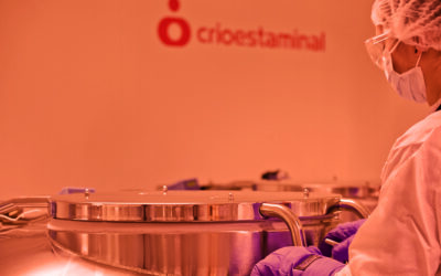 Conversas com Barriguinhas