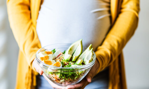 Manual sobre alimentação na gravidez