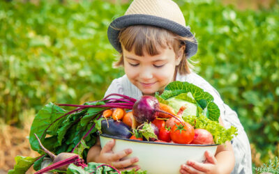 2021: Ano Internacional das Frutas e Hortícolas