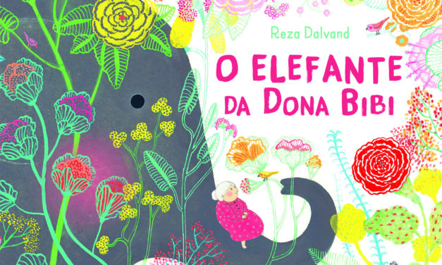 O Elefante da Dona Bibi