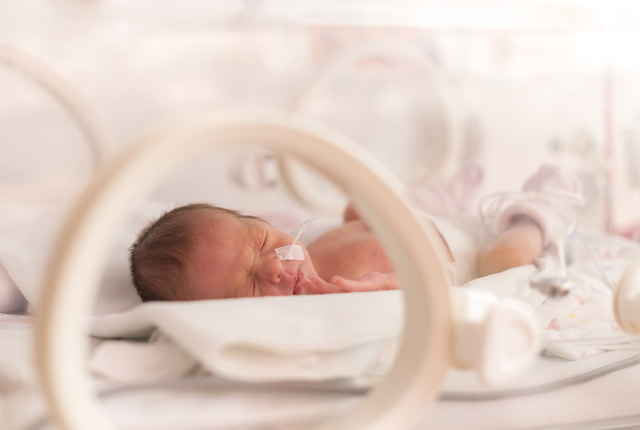 Bactérias intestinais influenciam desenvolvimento cerebral em bebés prematuros