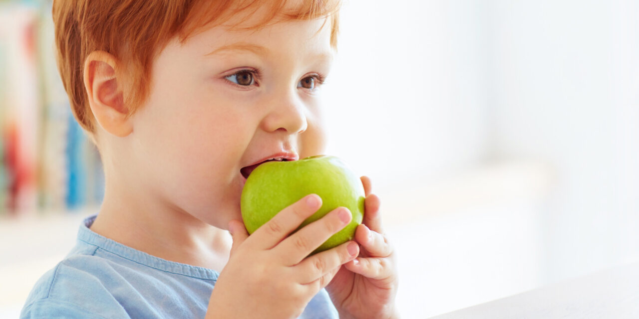 De que forma a genética e o ambiente influenciam os comportamentos alimentares das crianças?